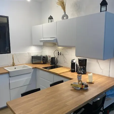 公寓 Paradis Les Pieds Sur Le Sable Palace